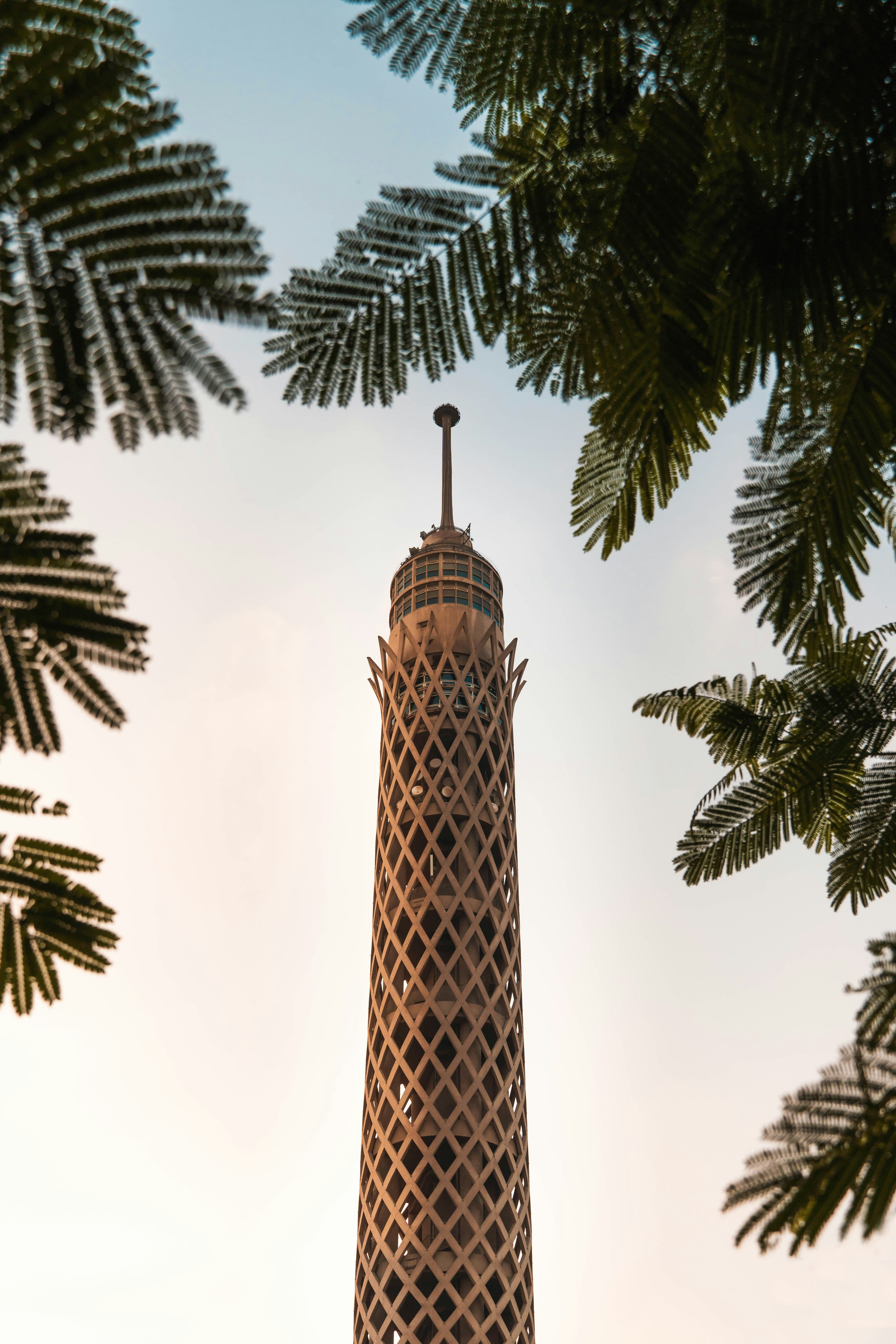 فندق تريمف بلازا القاهره +  منتجع اكسبيرينس سي بريز شرم الشيخ