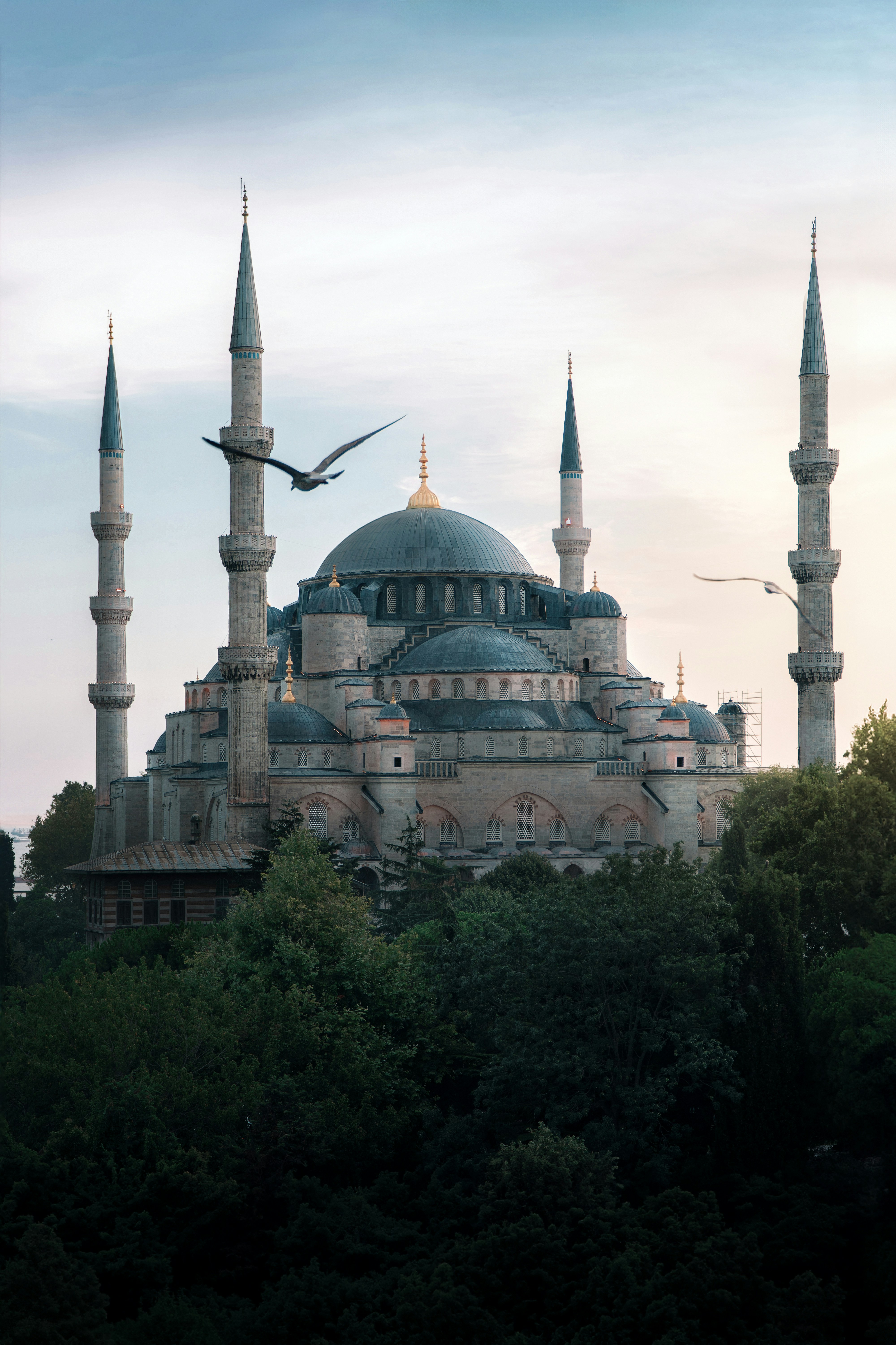 اليوم التاسع - 1